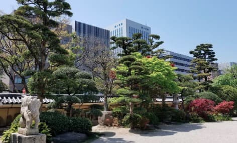 리뷰 이미지 1