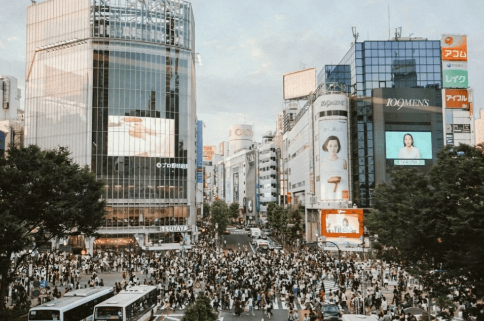 리뷰 이미지 2