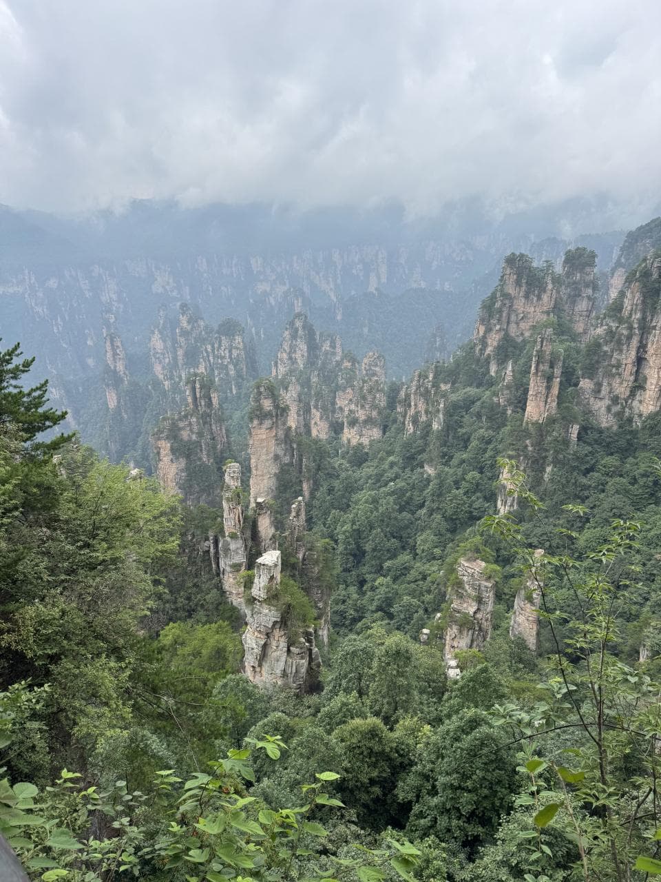 리뷰 이미지 1